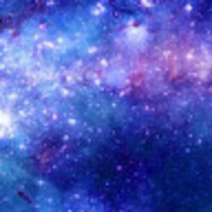 Meet your Posher, Devin